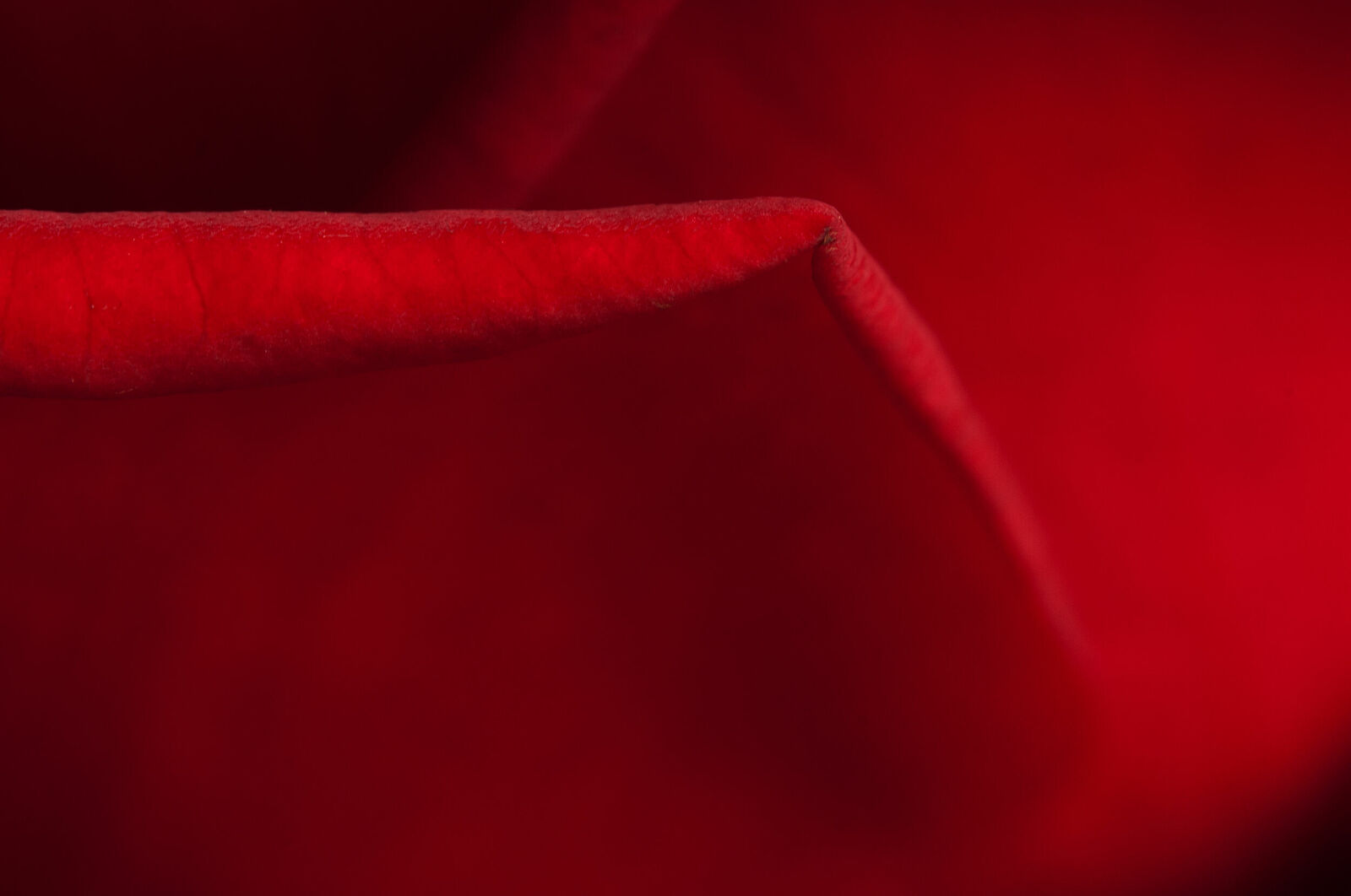 Alexander Kurlovich. Portfolio. MacroAbstract 2022. Untitled