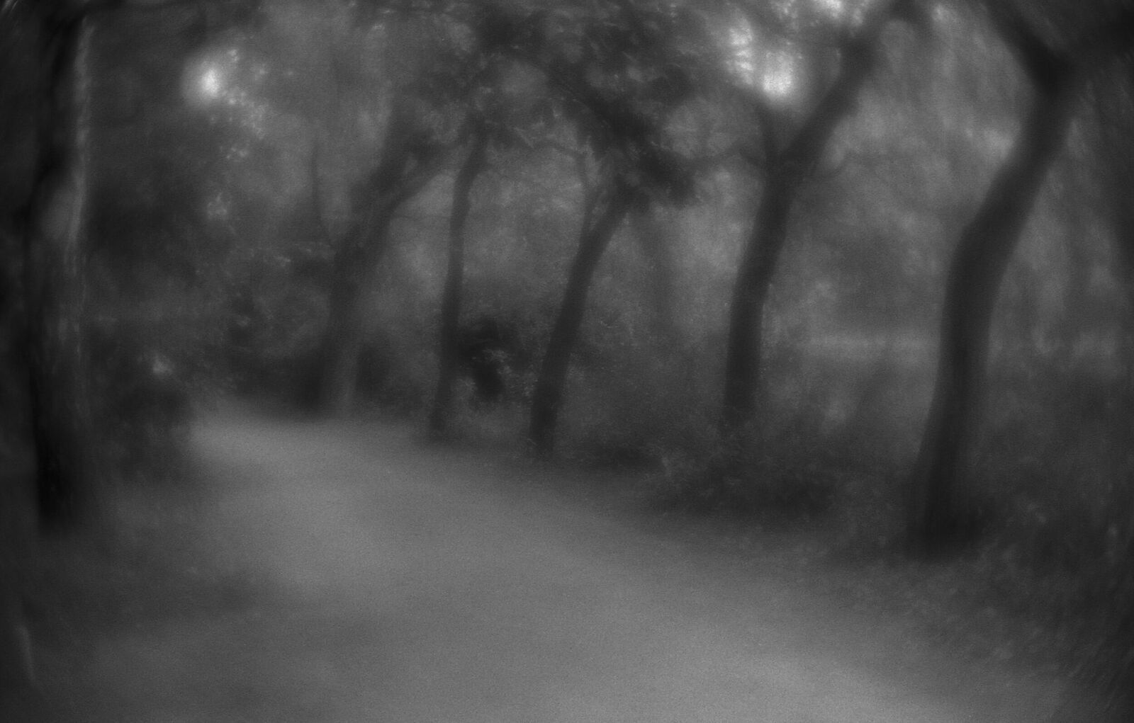 Alexander Kurlovich. Portfolio. Sokolniki 35 mm. Untitled