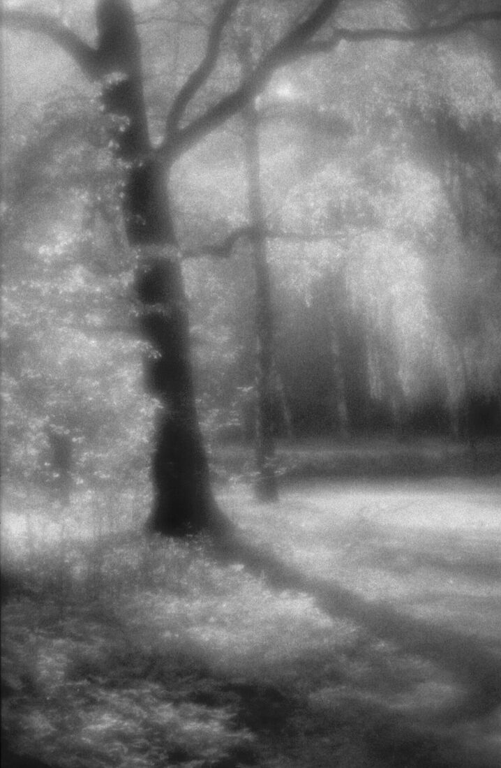 Alexander Kurlovich. Portfolio. Sokolniki 35 mm. Untitled