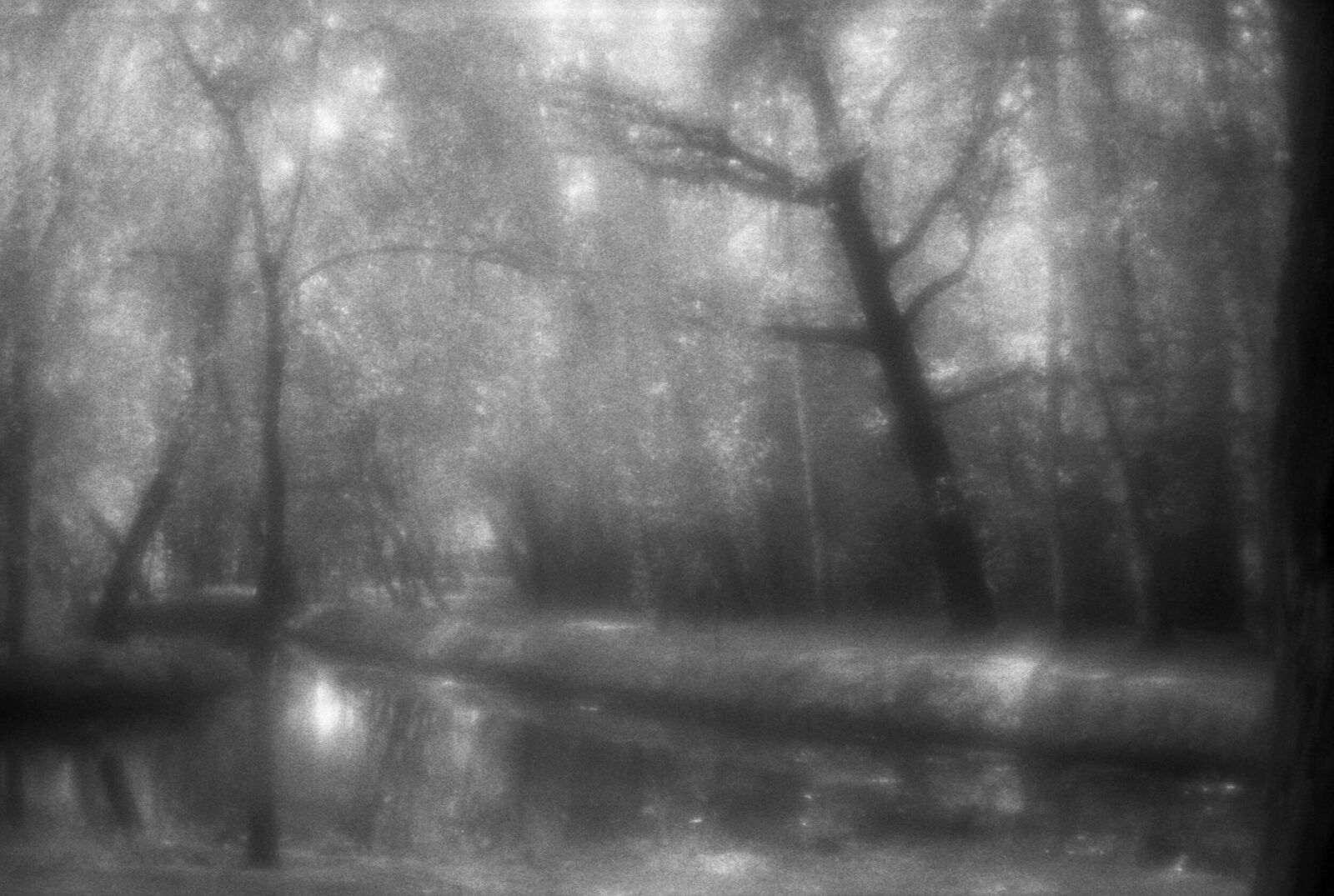 Alexander Kurlovich. Portfolio. Sokolniki 35 mm. Untitled