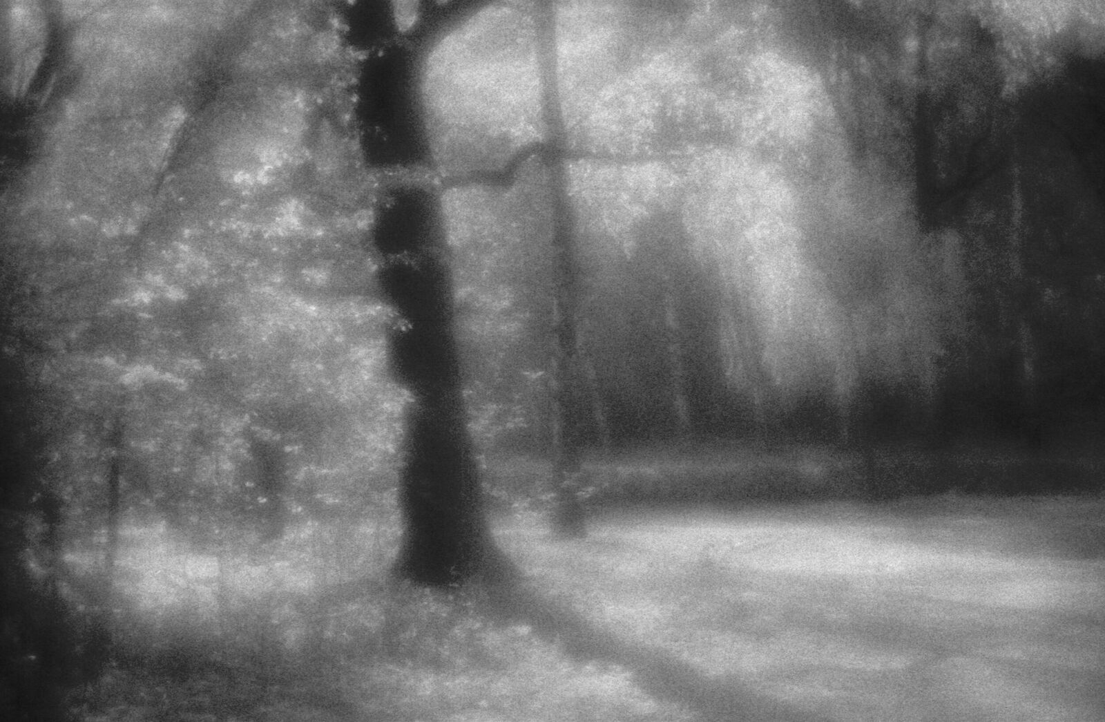 Alexander Kurlovich. Portfolio. Sokolniki 35 mm. Untitled