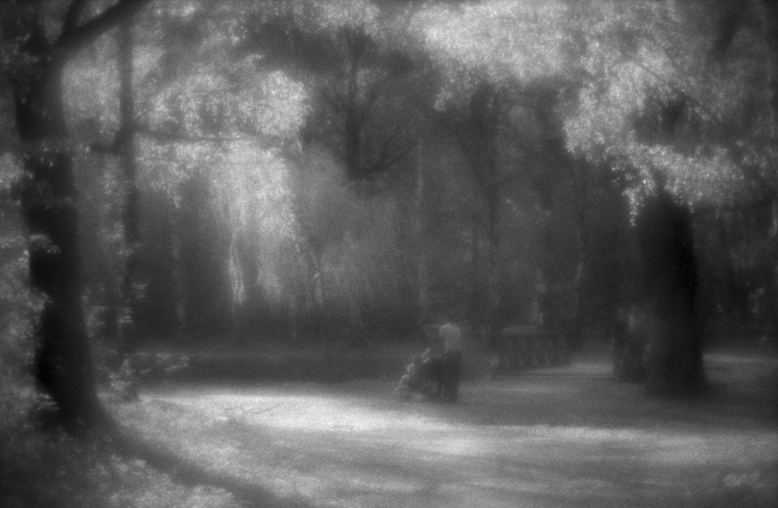 Alexander Kurlovich. Portfolio. Sokolniki 35 mm. Untitled