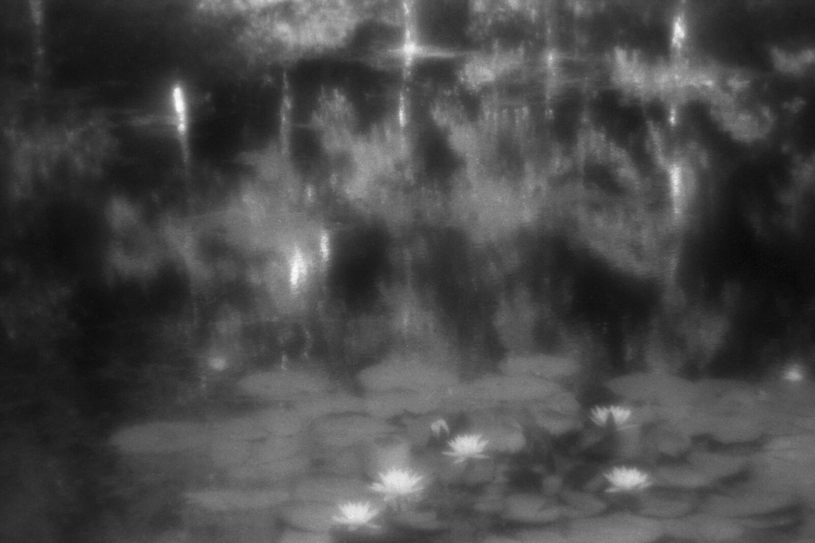 Alexander Kurlovich. Portfolio. Sokolniki 35 mm. Untitled