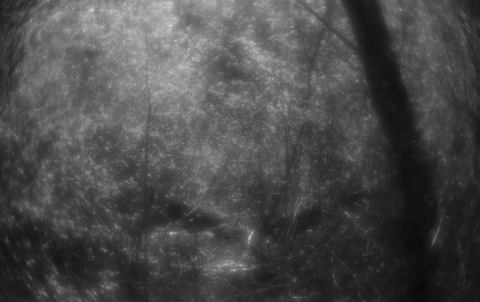 Alexander Kurlovich. Portfolio. Sokolniki 35 mm. Untitled