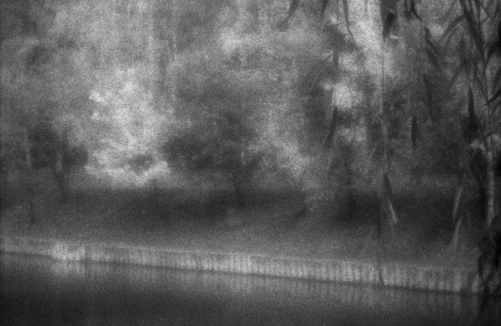 Alexander Kurlovich. Portfolio. Sokolniki 35 mm. Untitled