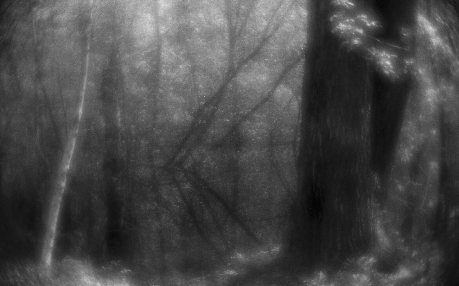 Alexander Kurlovich. Portfolio. Sokolniki 35 mm. Untitled