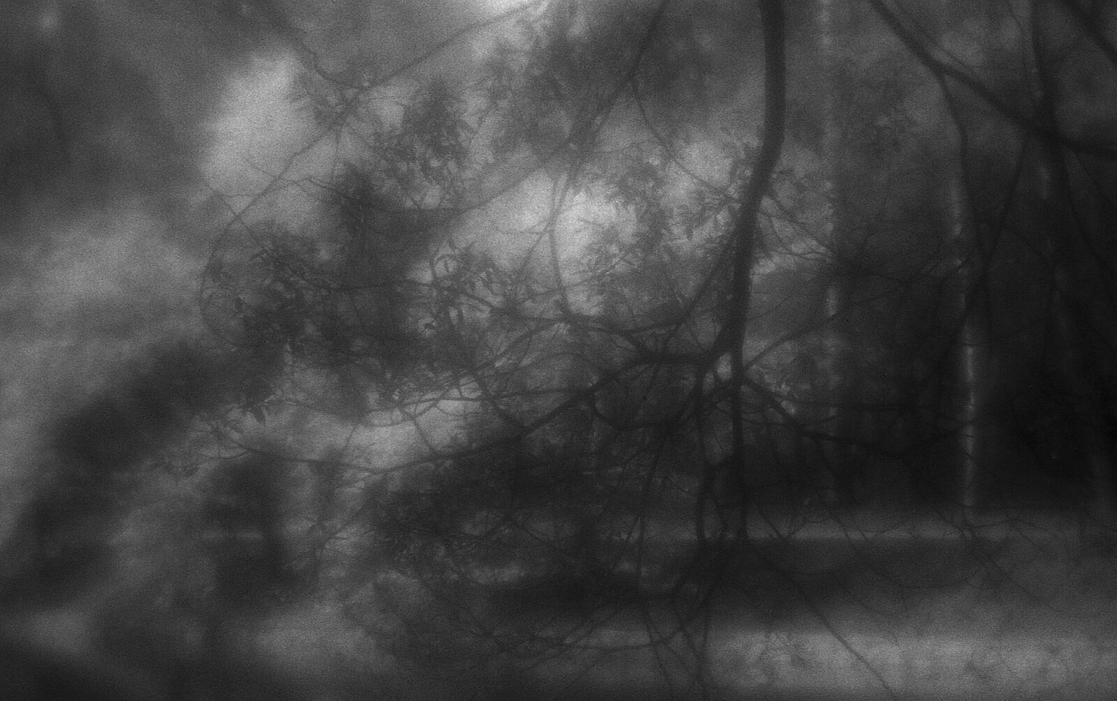 Alexander Kurlovich. Portfolio. Sokolniki 35 mm. Untitled