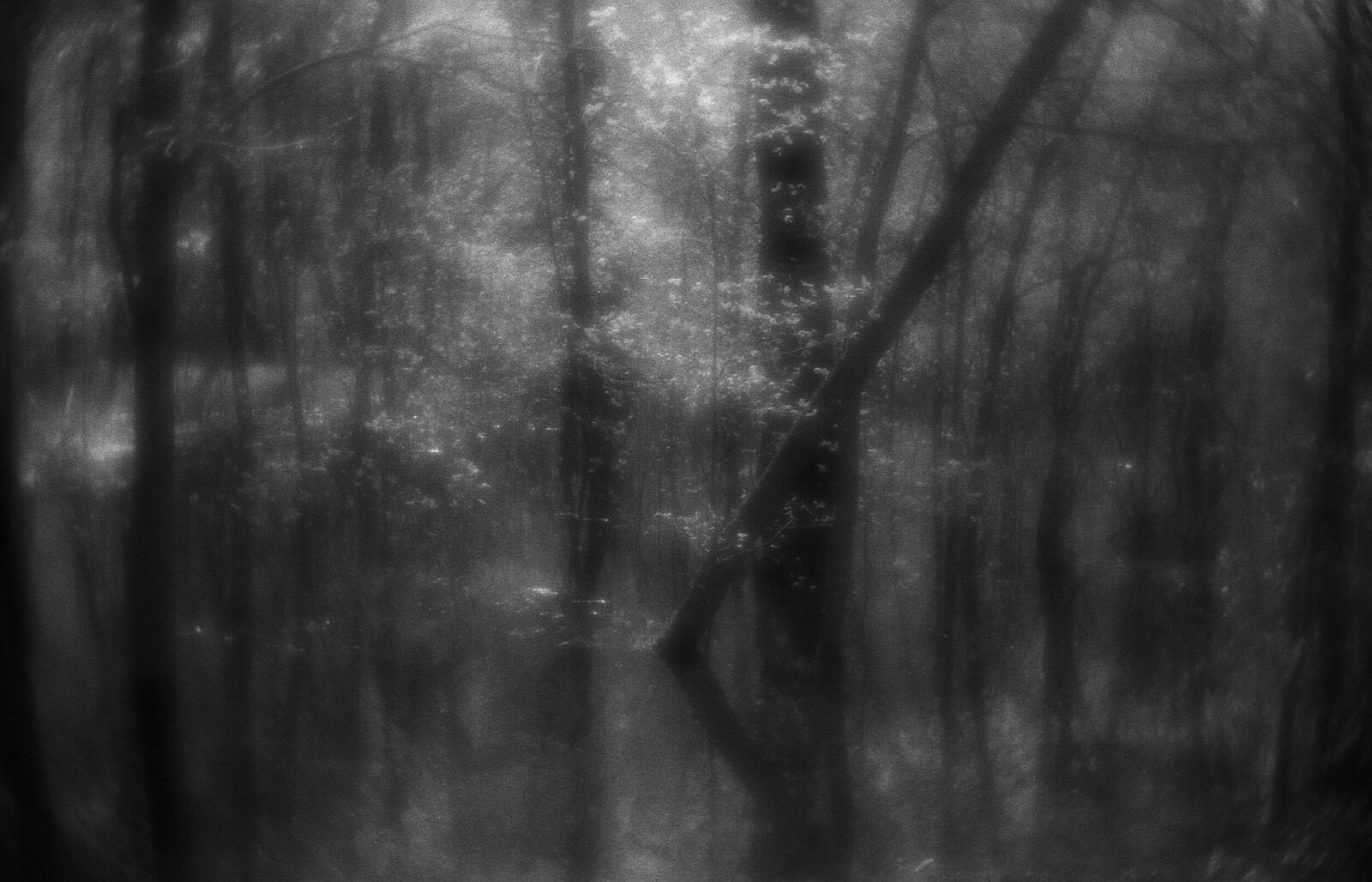 Alexander Kurlovich. Portfolio. Sokolniki 35 mm. Untitled