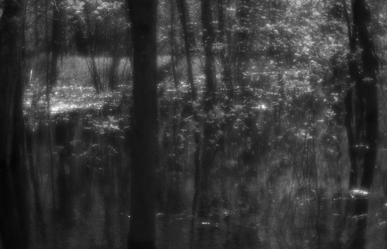 Alexander Kurlovich. Portfolio. Sokolniki 35 mm. Untitled
