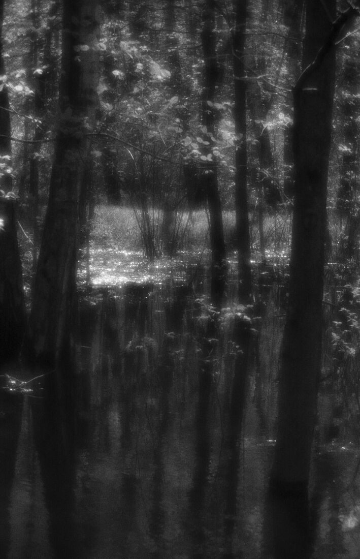 Alexander Kurlovich. Portfolio. Sokolniki 35 mm. Untitled