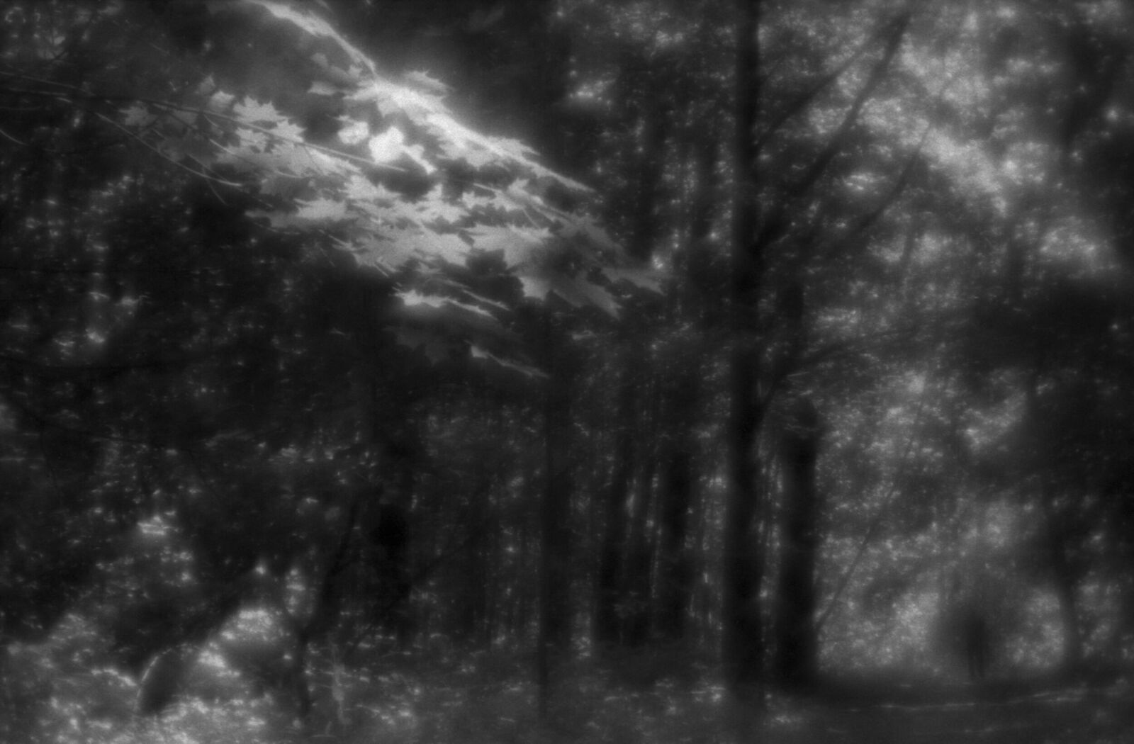 Alexander Kurlovich. Portfolio. Sokolniki 35 mm. Untitled
