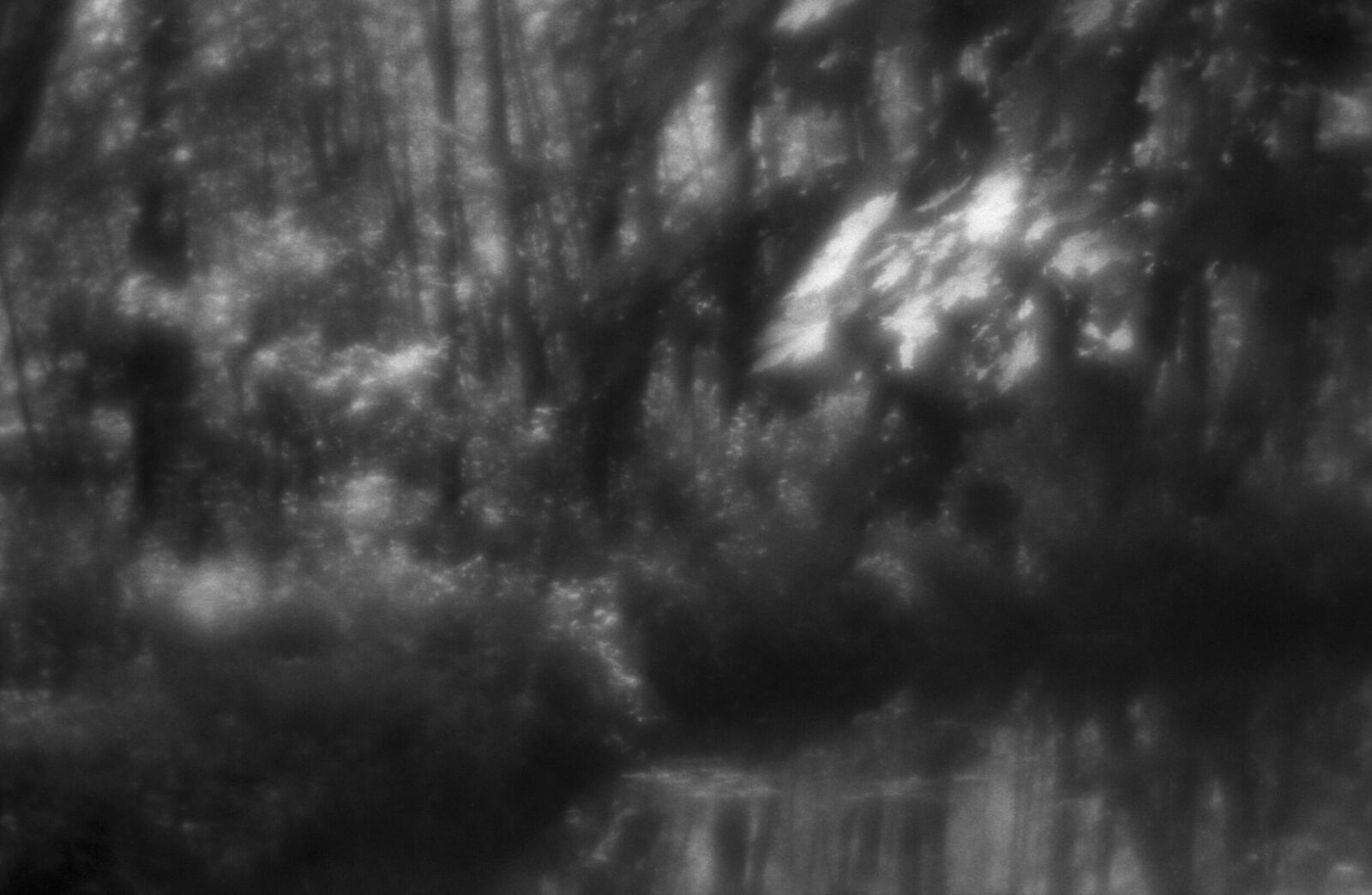 Alexander Kurlovich. Portfolio. Sokolniki 35 mm. Untitled