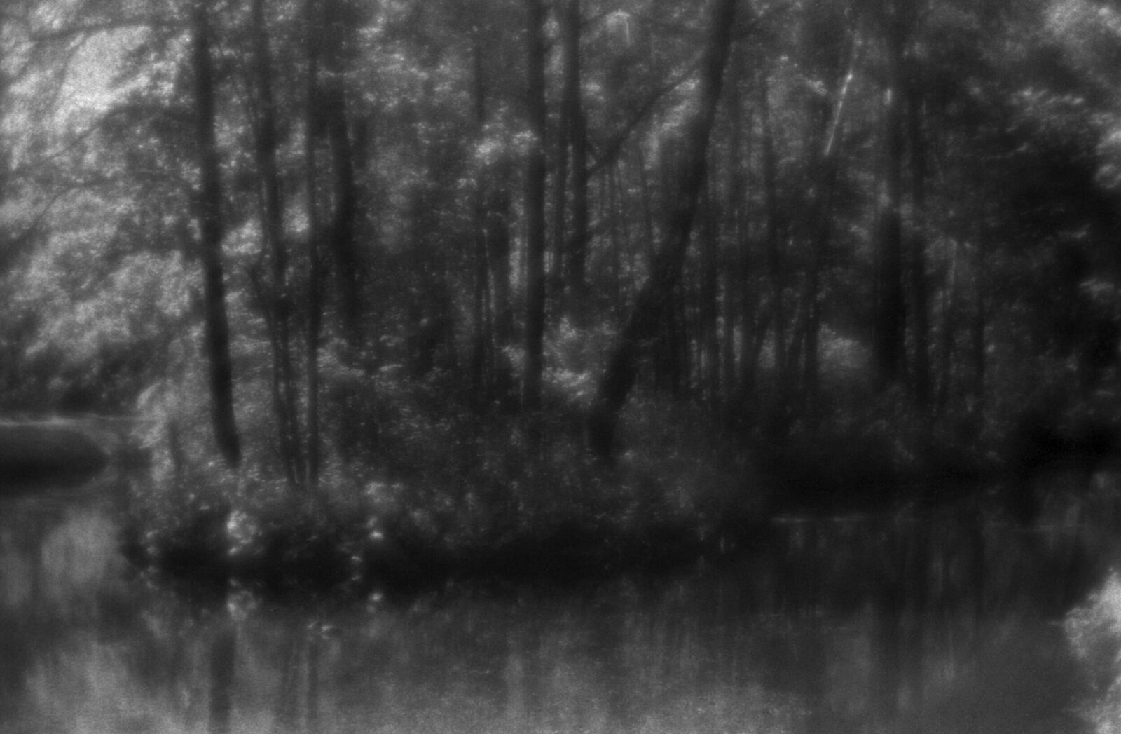 Alexander Kurlovich. Portfolio. Sokolniki 35 mm. Untitled