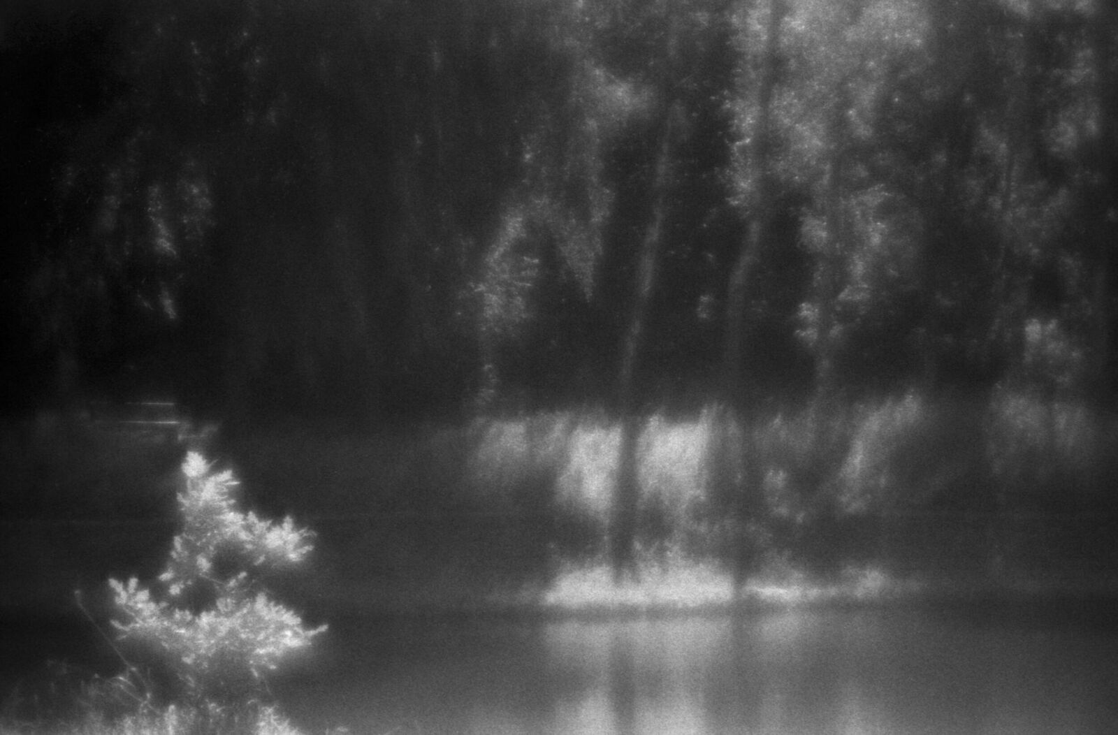 Alexander Kurlovich. Portfolio. Sokolniki 35 mm. Untitled