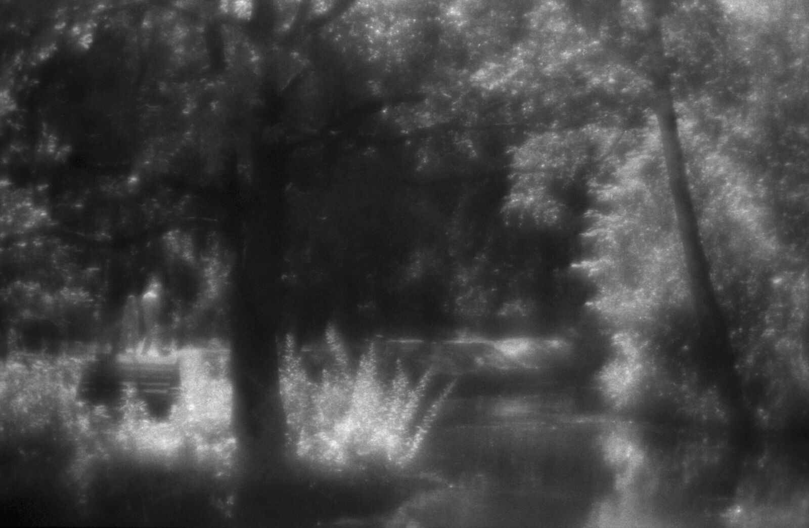 Alexander Kurlovich. Portfolio. Sokolniki 35 mm. Untitled