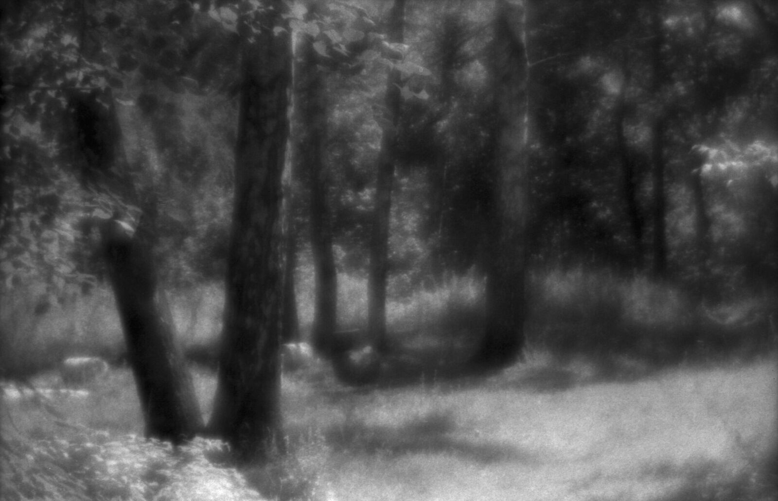 Alexander Kurlovich. Portfolio. Sokolniki 35 mm. Untitled