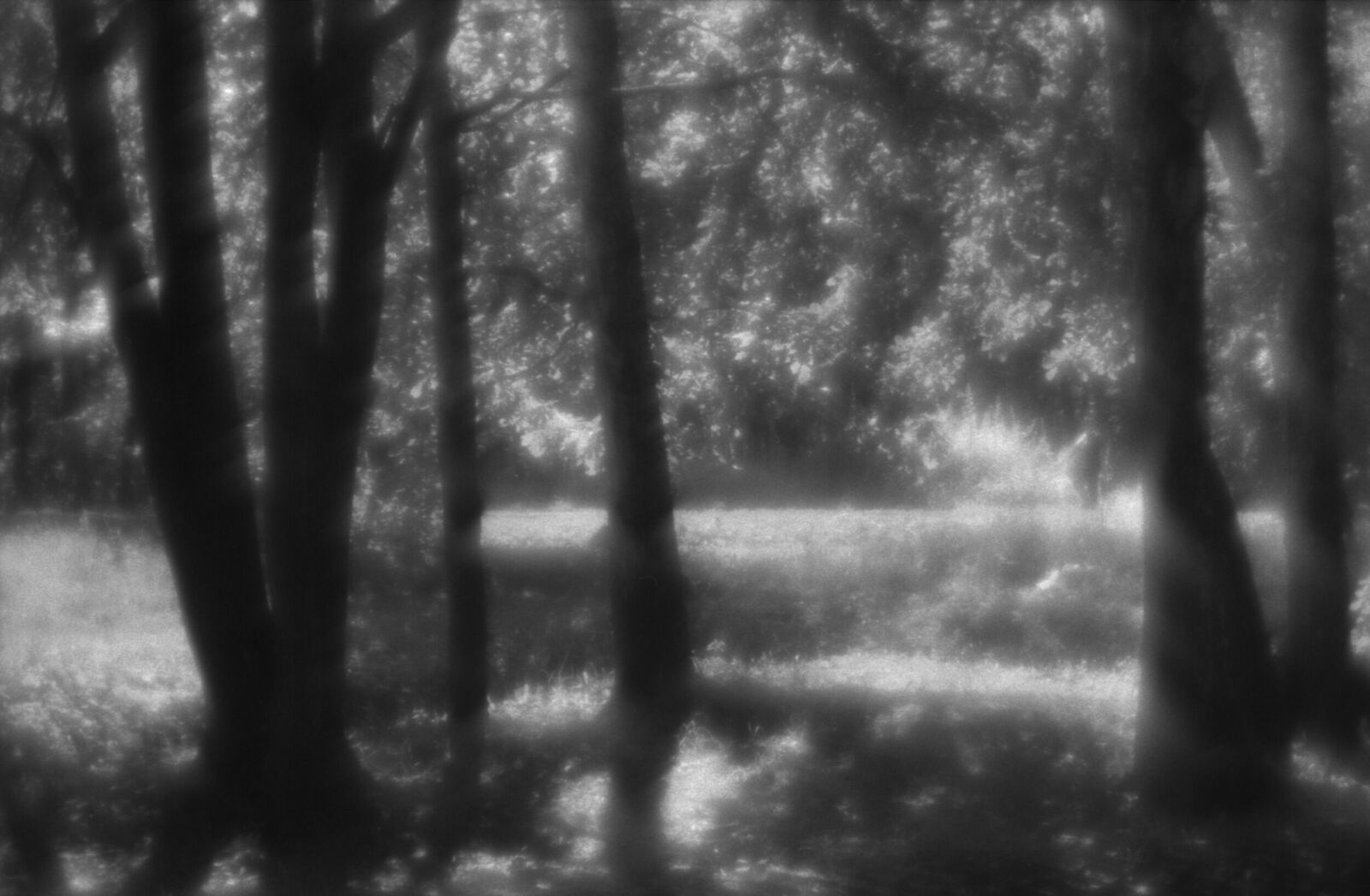 Alexander Kurlovich. Portfolio. Sokolniki 35 mm. Untitled