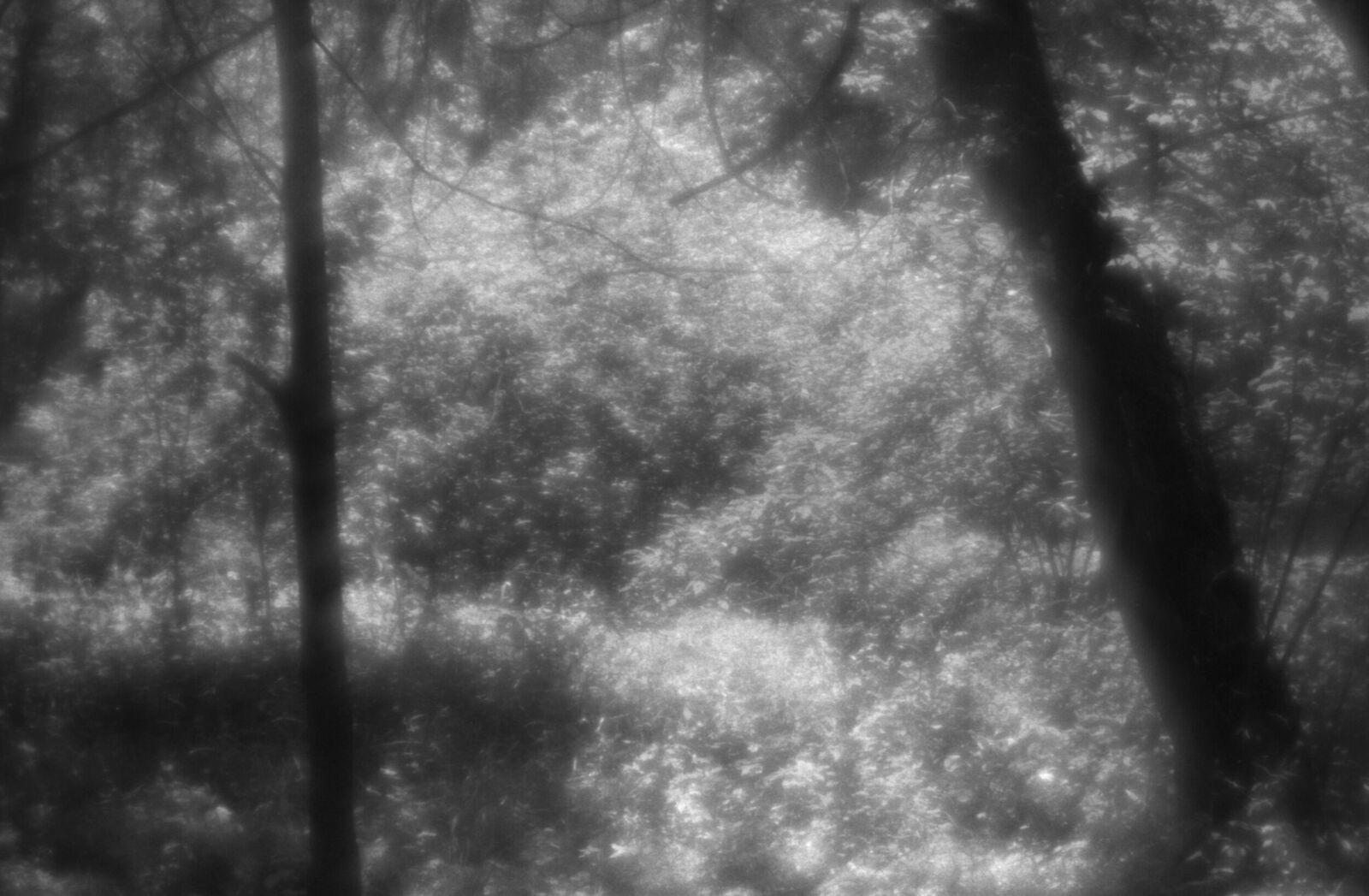 Alexander Kurlovich. Portfolio. Sokolniki 35 mm. Untitled