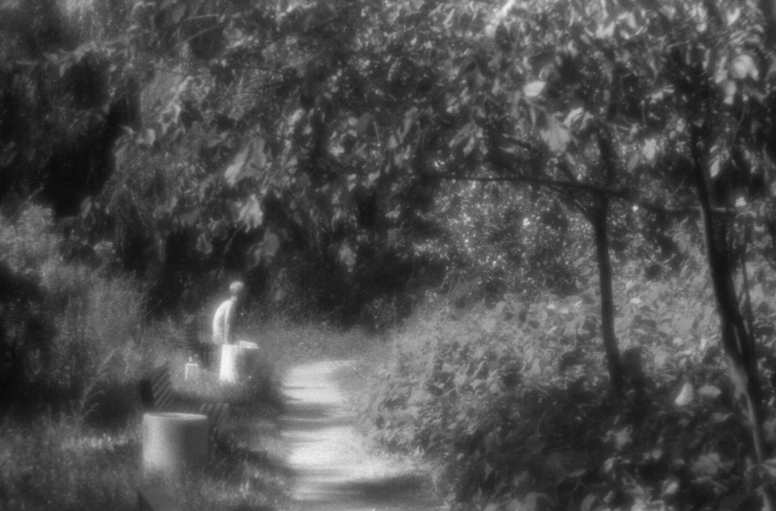 Alexander Kurlovich. Portfolio. Sokolniki 35 mm. Untitled