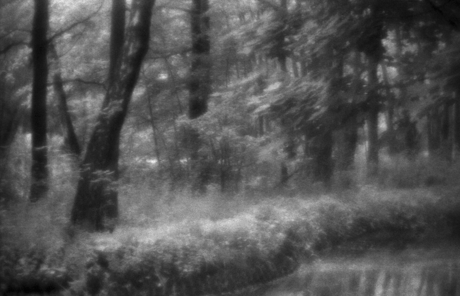 Alexander Kurlovich. Portfolio. Sokolniki 35 mm. Untitled