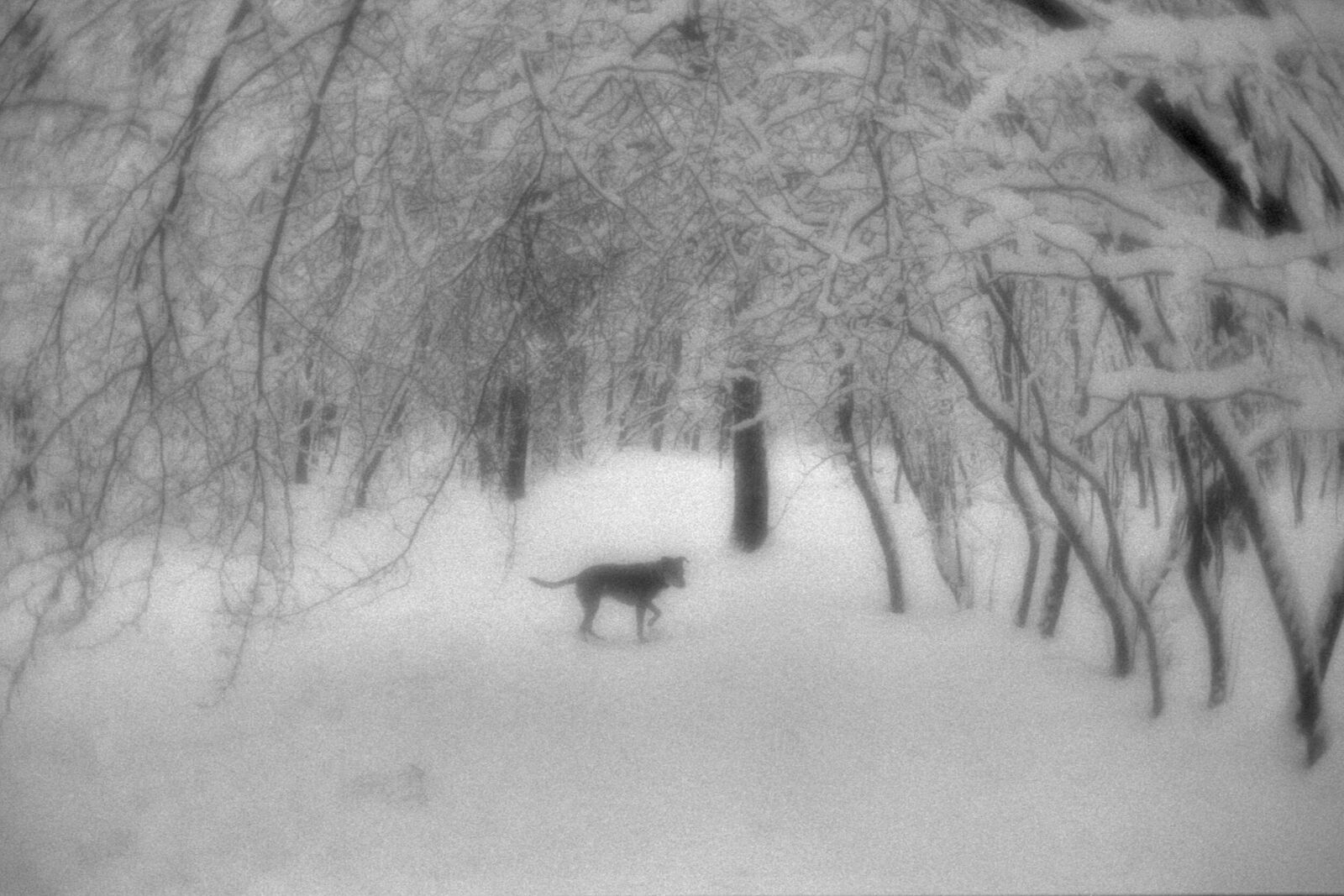 Alexander Kurlovich. Portfolio. Sokolniki 35 mm. Untitled