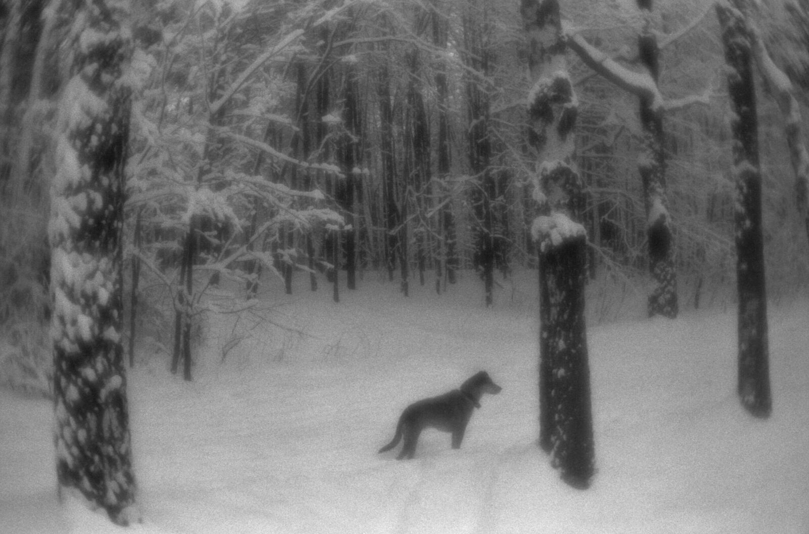 Alexander Kurlovich. Portfolio. Sokolniki 35 mm. Untitled