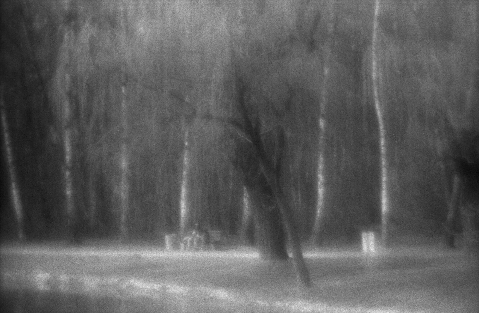 Alexander Kurlovich. Portfolio. Sokolniki 35 mm. Untitled