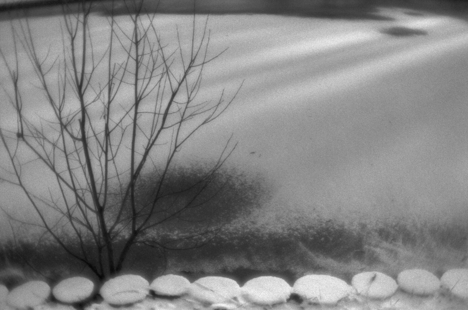 Alexander Kurlovich. Portfolio. Sokolniki 35 mm. Untitled