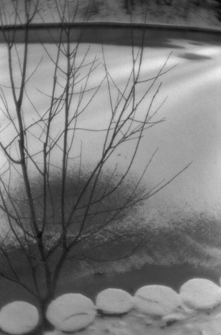Alexander Kurlovich. Portfolio. Sokolniki 35 mm. Untitled