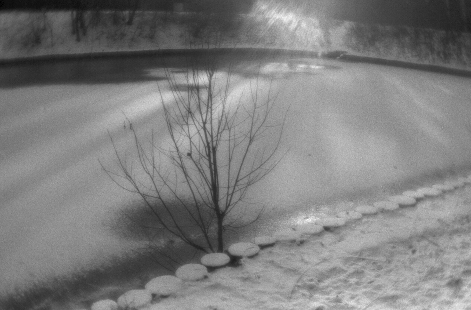 Alexander Kurlovich. Portfolio. Sokolniki 35 mm. Untitled