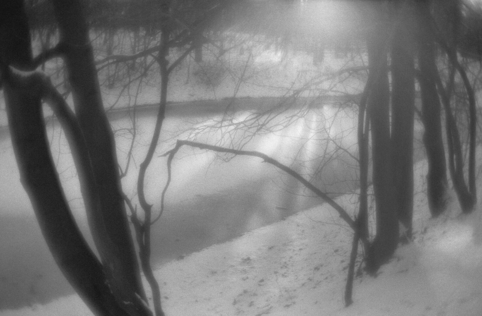 Alexander Kurlovich. Portfolio. Sokolniki 35 mm. Untitled