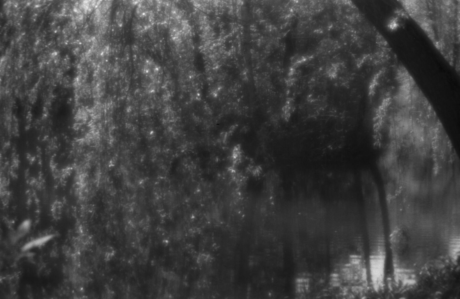 Alexander Kurlovich. Portfolio. Sokolniki 35 mm. Untitled