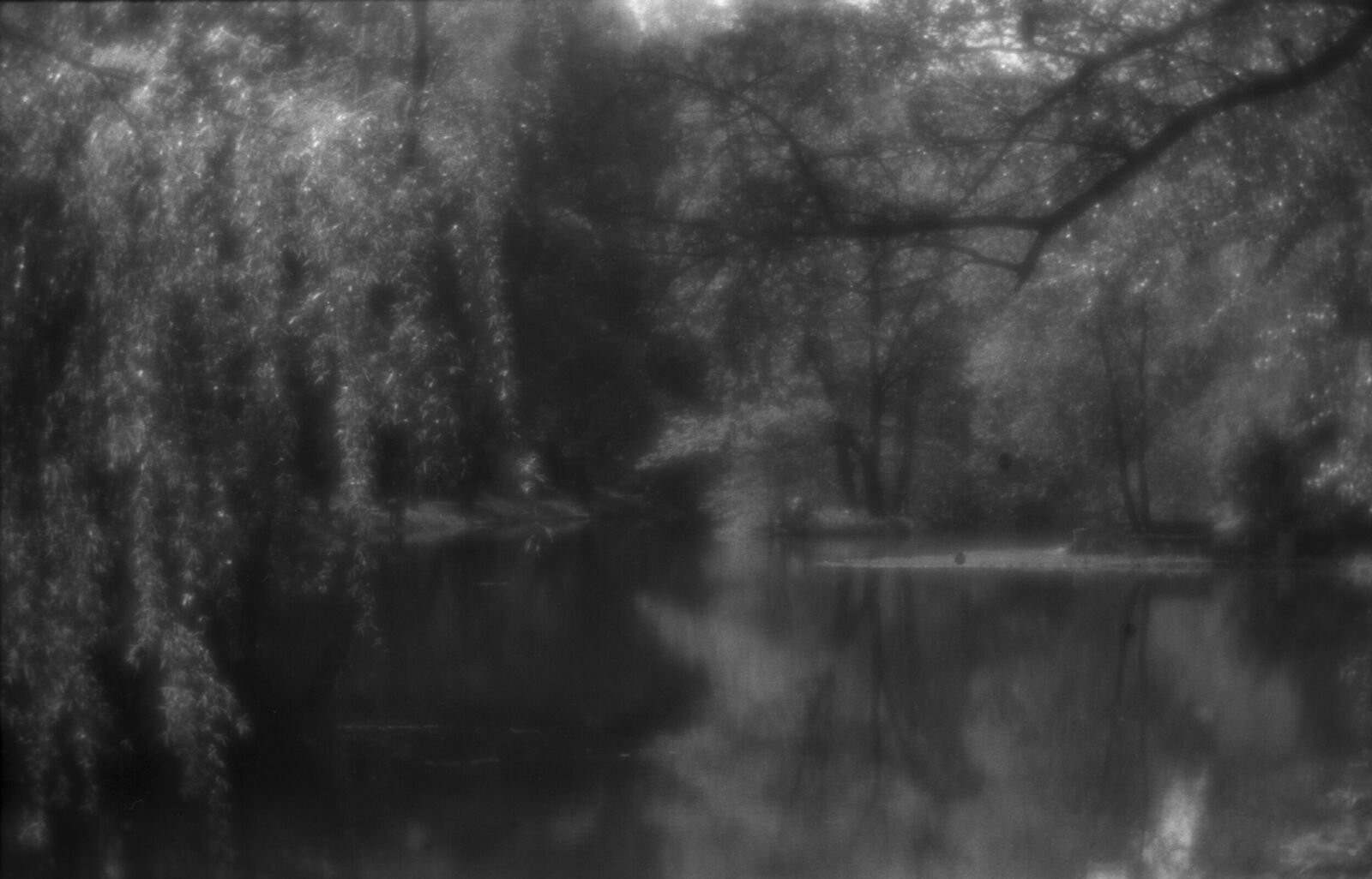 Alexander Kurlovich. Portfolio. Sokolniki 35 mm. Untitled