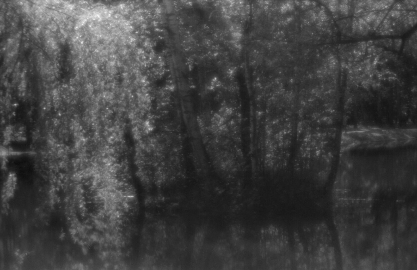Alexander Kurlovich. Portfolio. Sokolniki 35 mm. Untitled