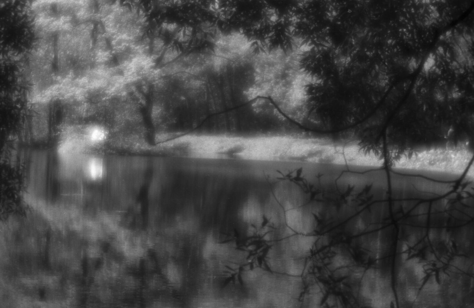 Alexander Kurlovich. Portfolio. Sokolniki 35 mm. Untitled