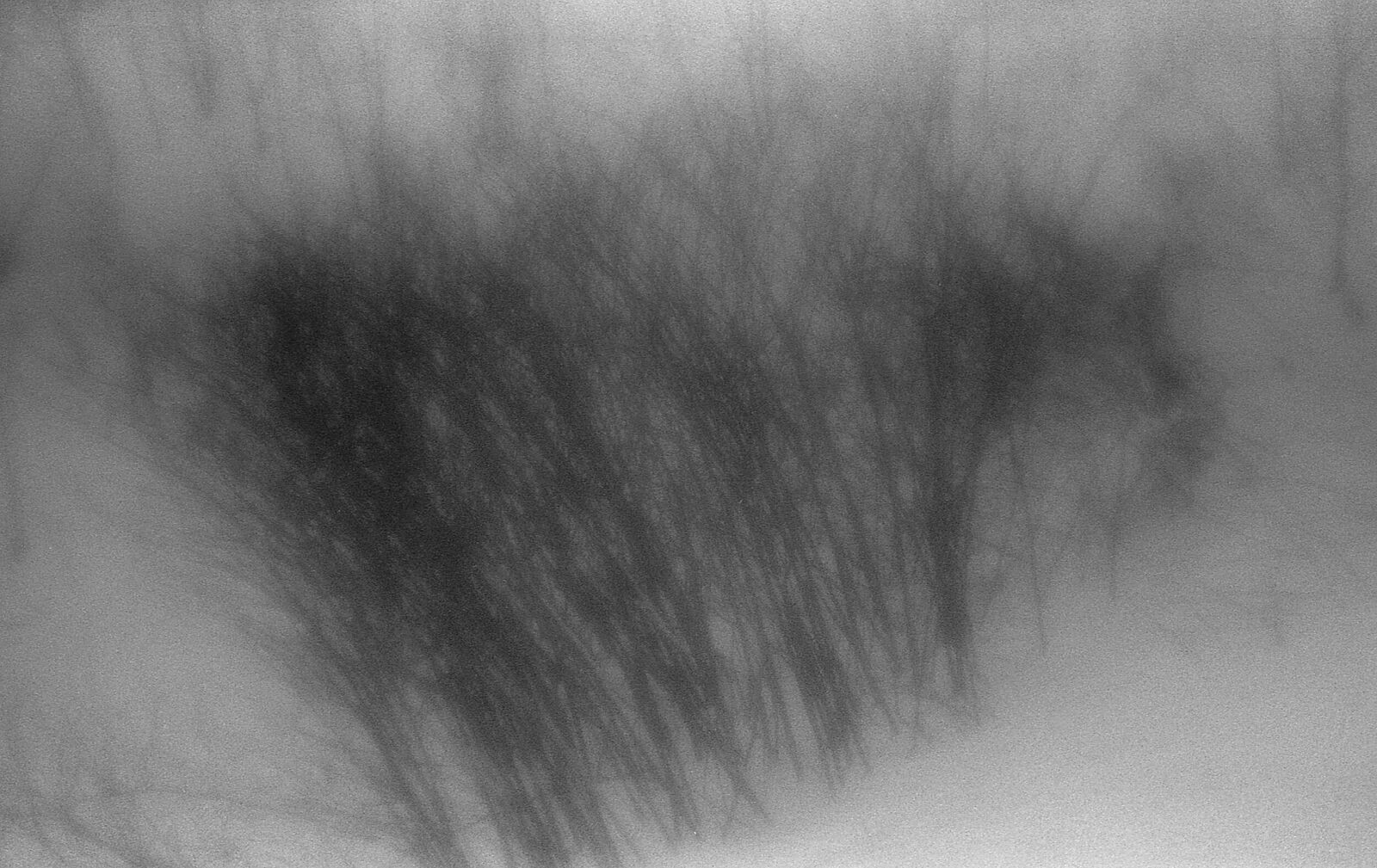 Alexander Kurlovich. Portfolio. Sokolniki 35 mm. Untitled