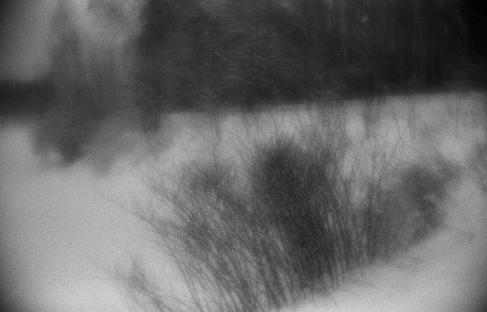 Alexander Kurlovich. Portfolio. Sokolniki 35 mm. Untitled