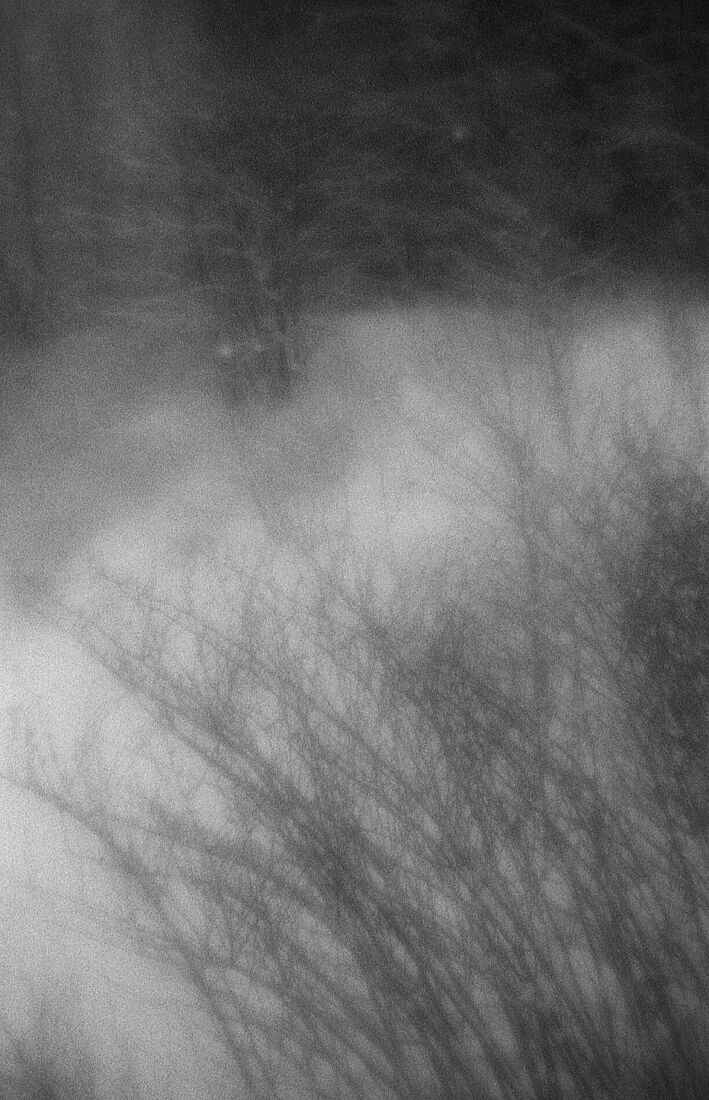 Alexander Kurlovich. Portfolio. Sokolniki 35 mm. Untitled