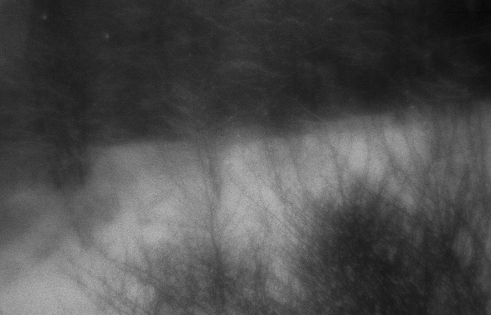 Alexander Kurlovich. Portfolio. Sokolniki 35 mm. Untitled