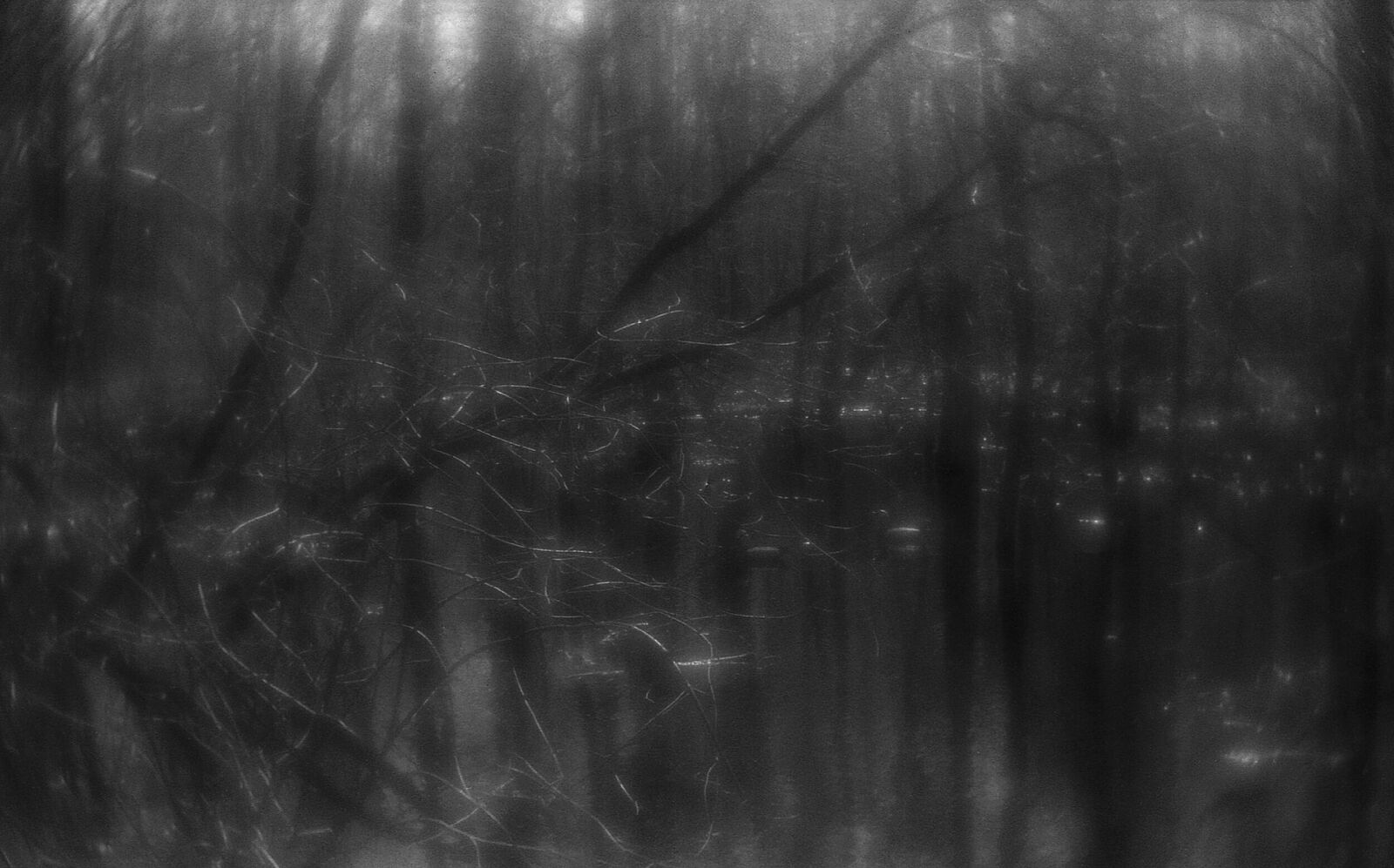 Alexander Kurlovich. Portfolio. Sokolniki 35 mm. Untitled