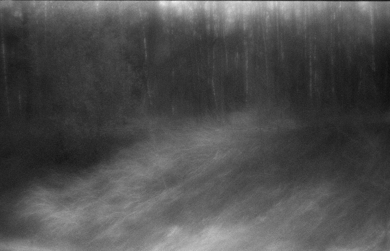 Alexander Kurlovich. Portfolio. Sokolniki 35 mm. Untitled