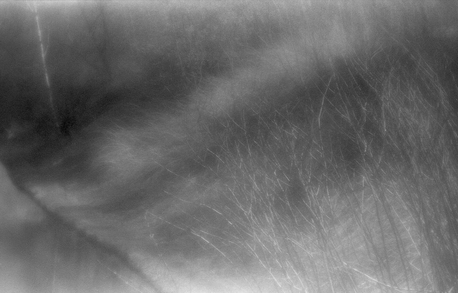 Alexander Kurlovich. Portfolio. Sokolniki 35 mm. Untitled