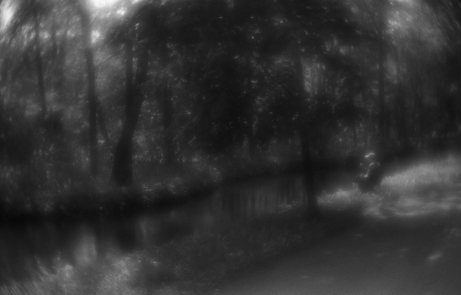 Alexander Kurlovich. Portfolio. Sokolniki 35 mm. Untitled