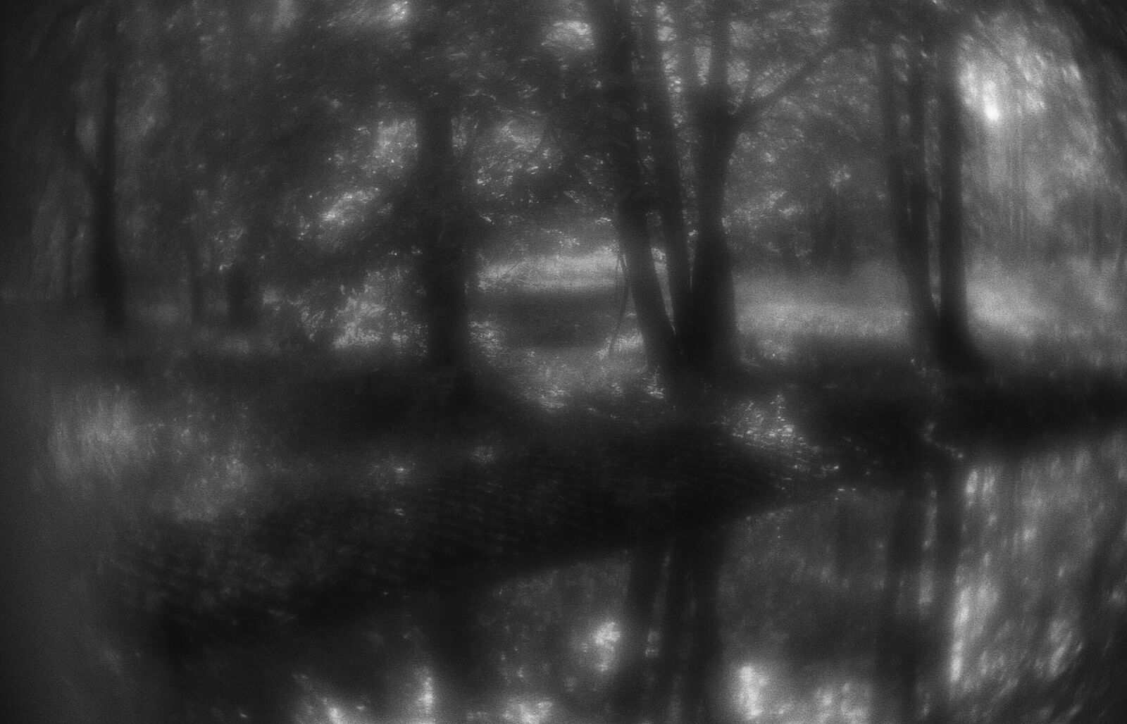 Alexander Kurlovich. Portfolio. Sokolniki 35 mm. Untitled