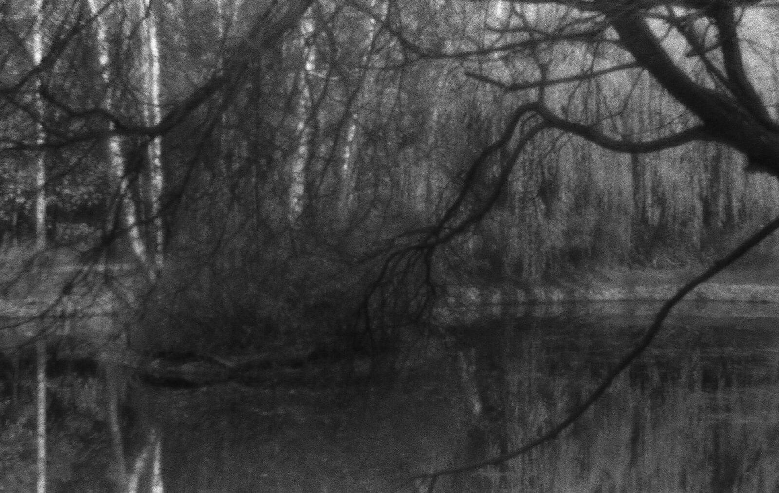 Alexander Kurlovich. Portfolio. Sokolniki 35 mm. Untitled