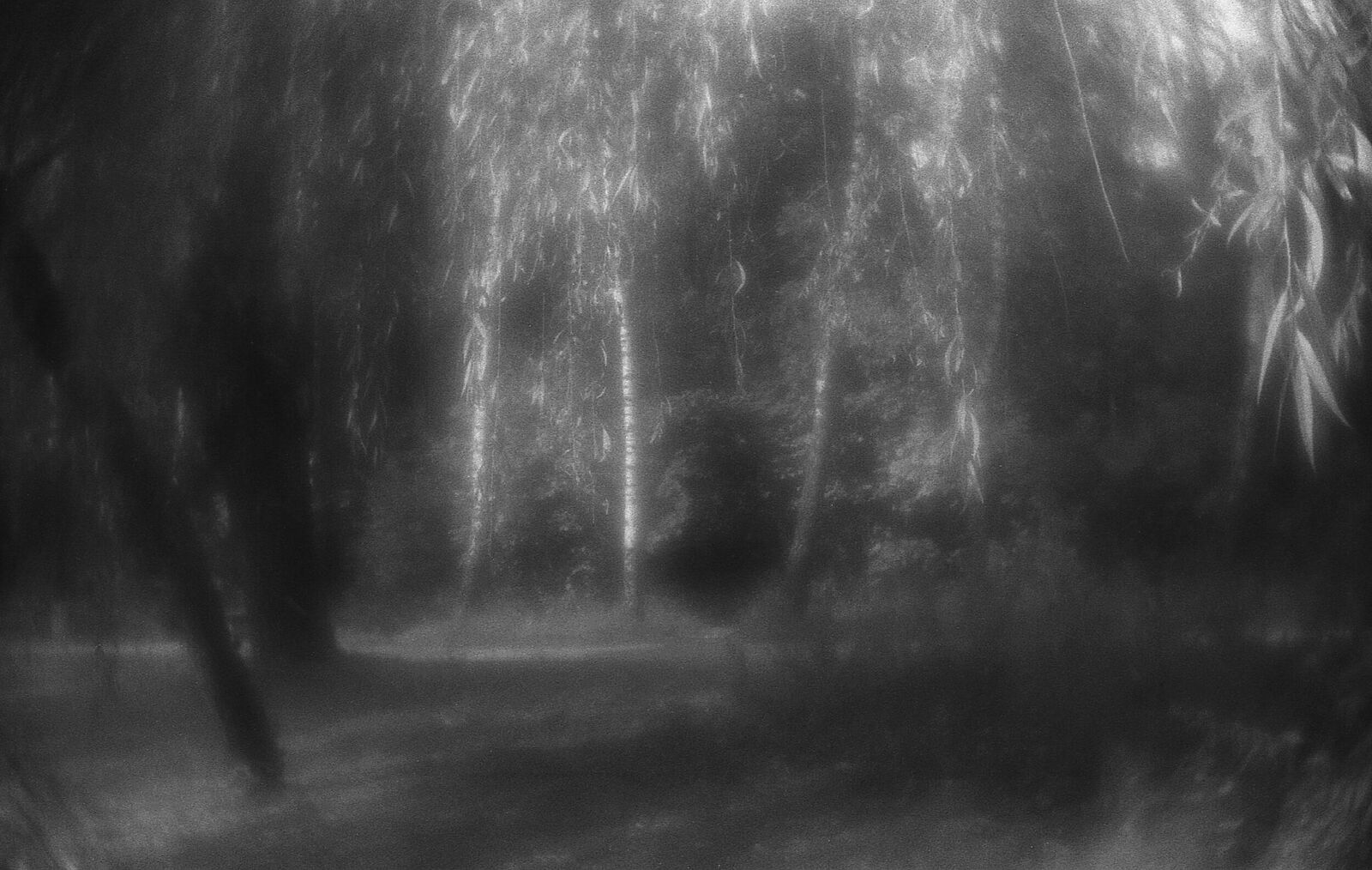 Alexander Kurlovich. Portfolio. Sokolniki 35 mm. Untitled