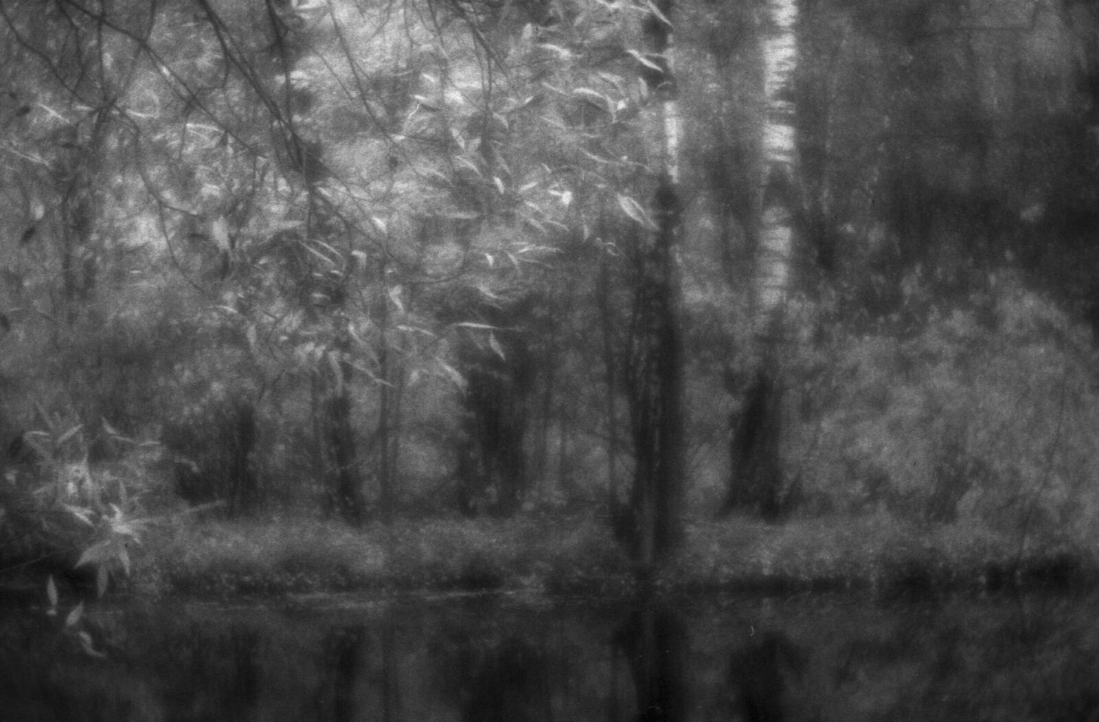 Alexander Kurlovich. Portfolio. Sokolniki 35 mm. Untitled