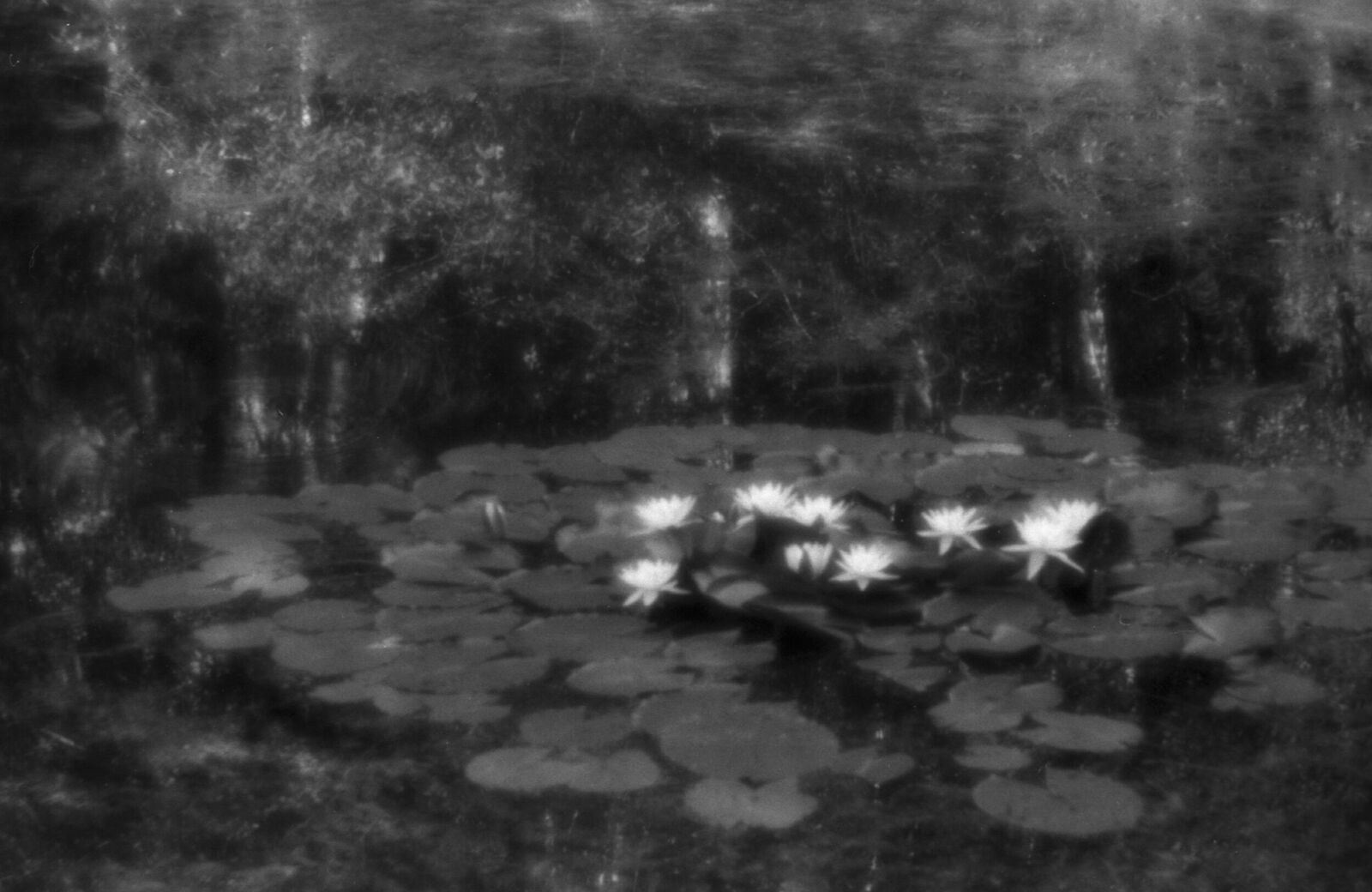 Alexander Kurlovich. Portfolio. Sokolniki 35 mm. Untitled